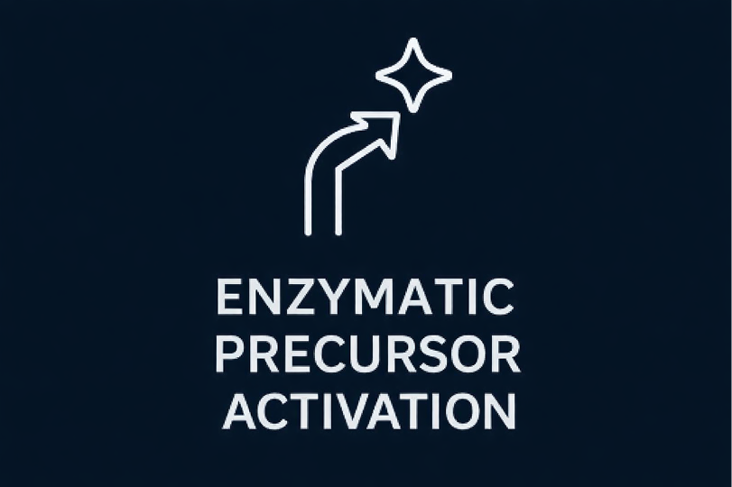 Enzymatic Precursor Activation